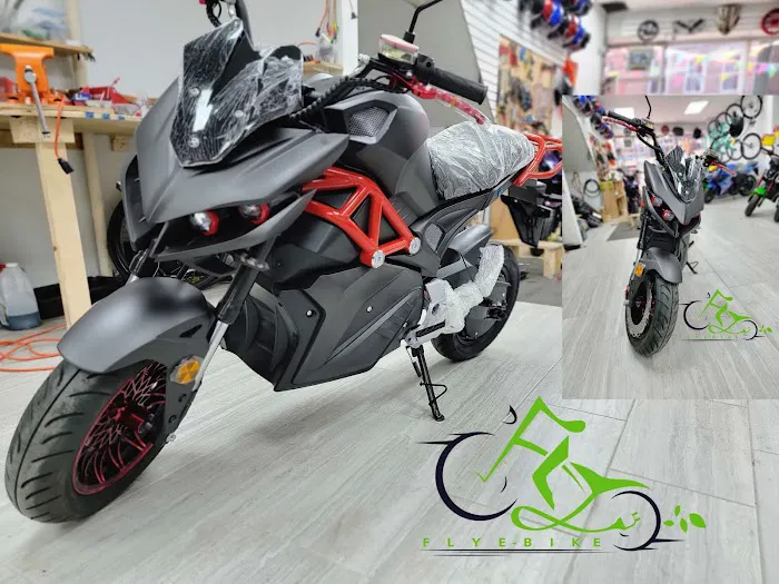 FLY E-BIKE 113-09 Picture 8