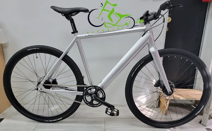 FLY E-BIKE 113-09 Picture 6