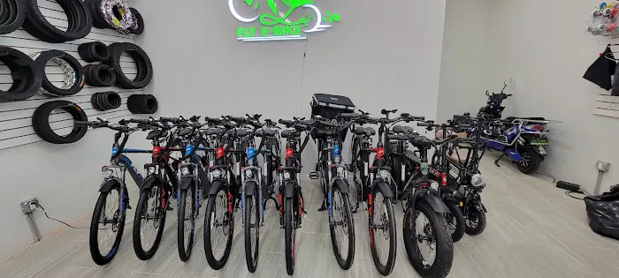 FLY E-BIKE 113-09 Picture 5