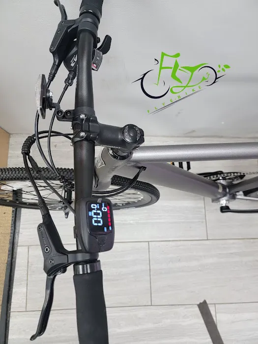 FLY E-BIKE 113-09 Picture 10