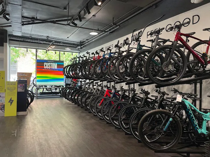 Trek Bicycle Forest Hills Picture 3