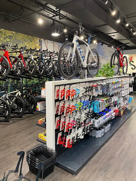 Trek Bicycle Forest Hills Picture 1