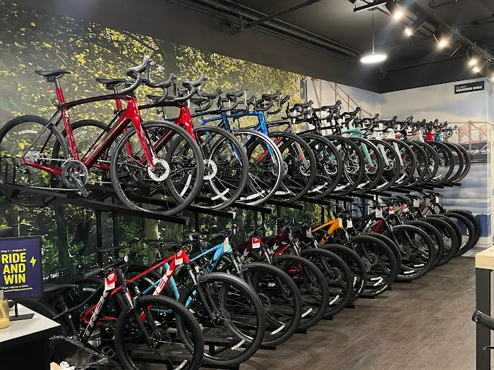 Trek Bicycle Forest Hills Picture 4
