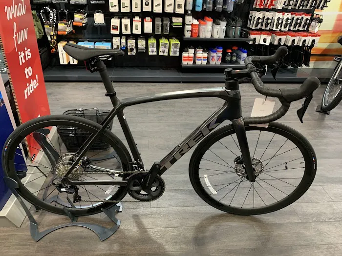 Trek Bicycle Forest Hills Picture 6
