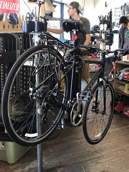 Spin City Cycle Picture 4