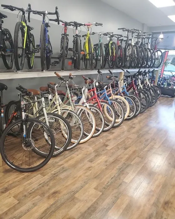 South Shore Bicycle and Fitness Picture 4