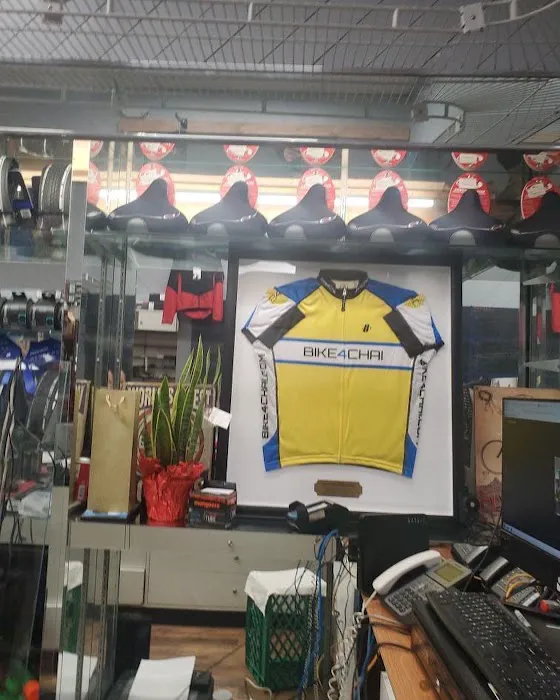 South Shore Bicycle and Fitness Picture 8