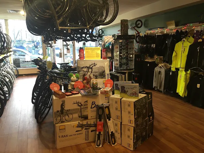 Danny's Cycles - Scarsdale Picture 4