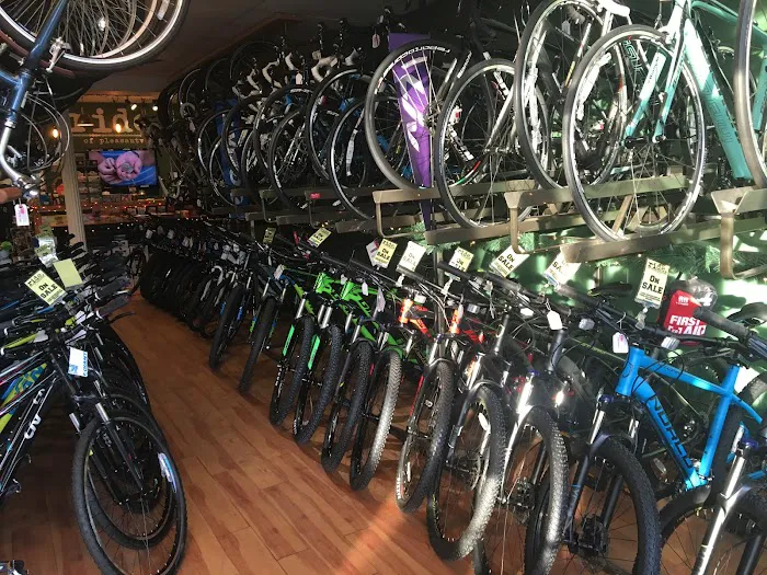 Danny's Cycles - Scarsdale Picture 5