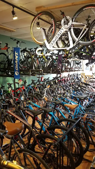 Danny's Cycles - Scarsdale Picture 8