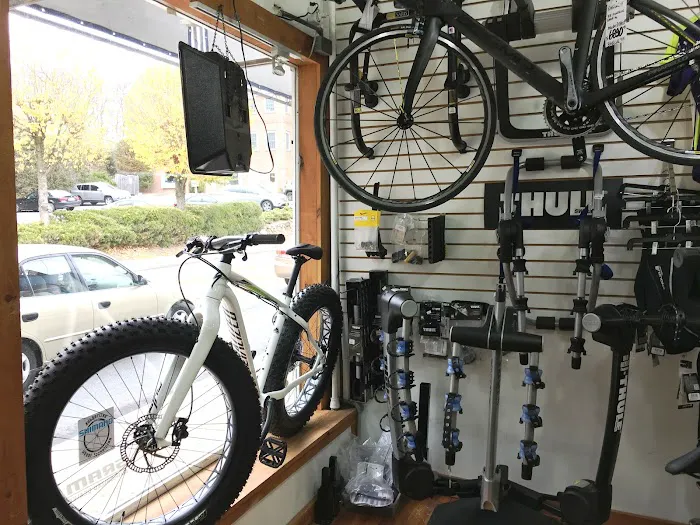 Julio Bicycles Inc Picture 9