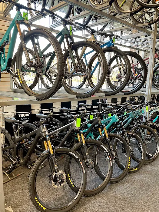 Yorktown Cycles Picture 2