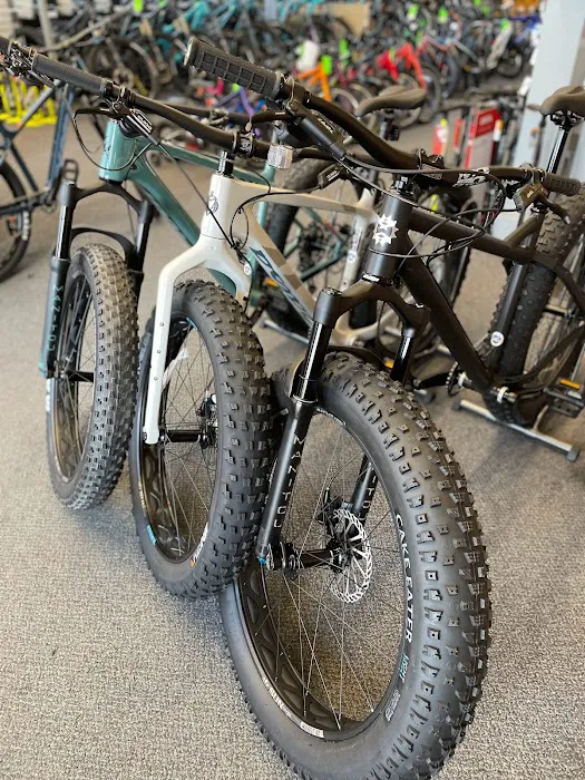 Yorktown Cycles Picture 3