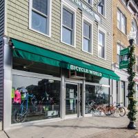 Bicycle World NY ico