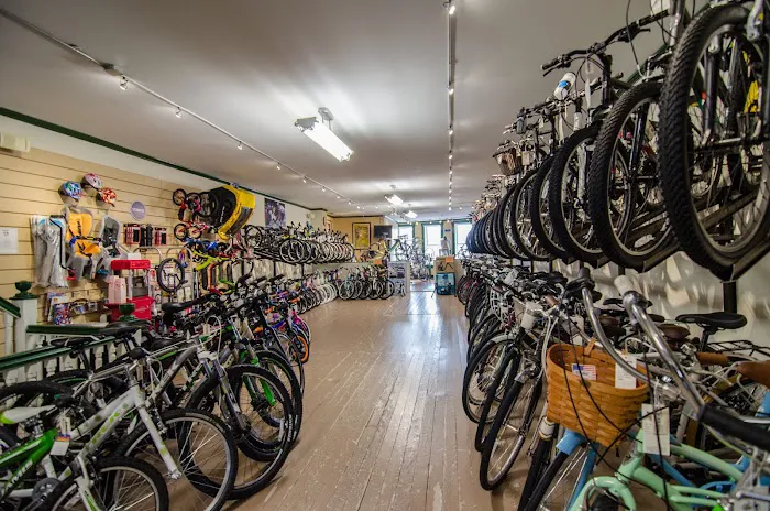 Bicycle World NY Picture 9
