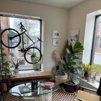 ACME Bicycle Co. ico