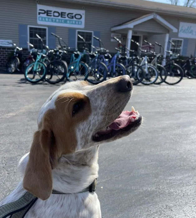 Beacon Bikes Picture 3