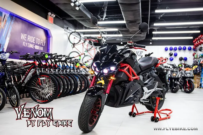 FLY e - bike Picture 1