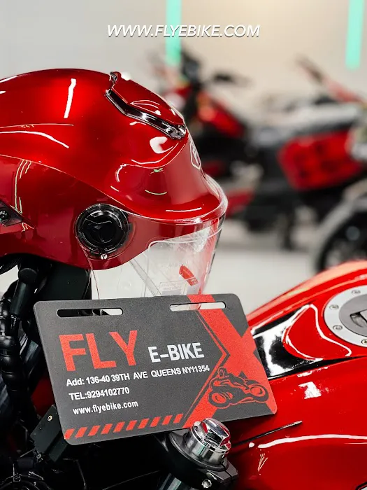 FLY e - bike Picture 10