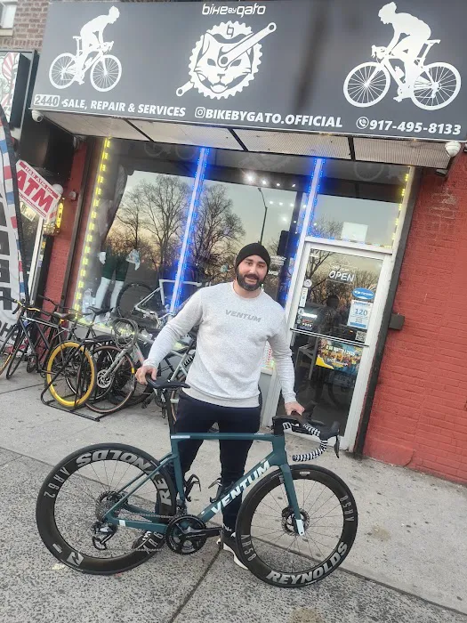 Bike by Gato Picture 1