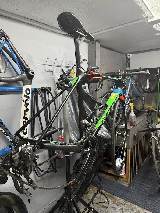 Bike by Gato Picture 7