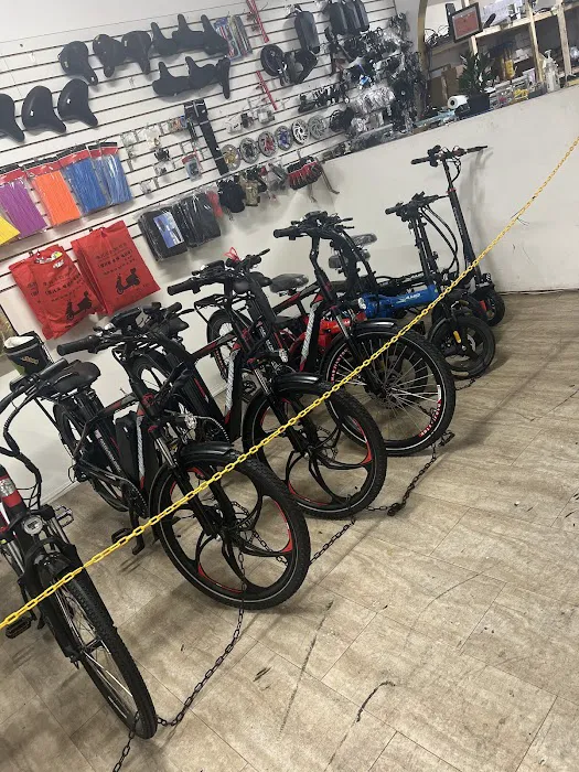 LEO E-BIKE Picture 1