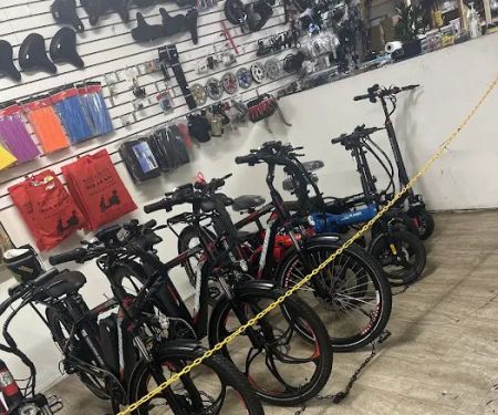 LEO E-BIKE
