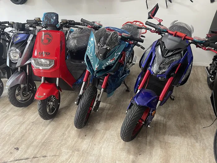 LEO E-BIKE Picture 2