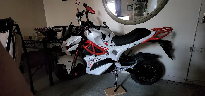 LEO E-BIKE Picture 4