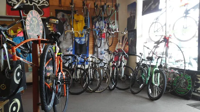 Pedal Pushers Bicycle Shop Picture 6
