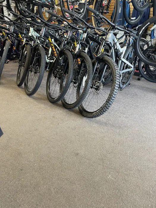 Pedal Pushers Bicycle Shop Picture 8