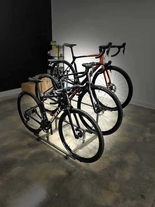 Jafe Cycling Bike Shop Picture 6