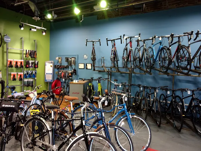 Arrow Bicycle Picture 2