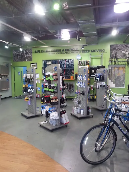Arrow Bicycle Picture 3
