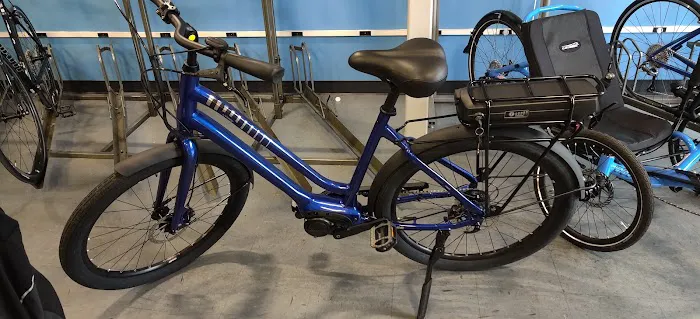 Arrow Bicycle Picture 8