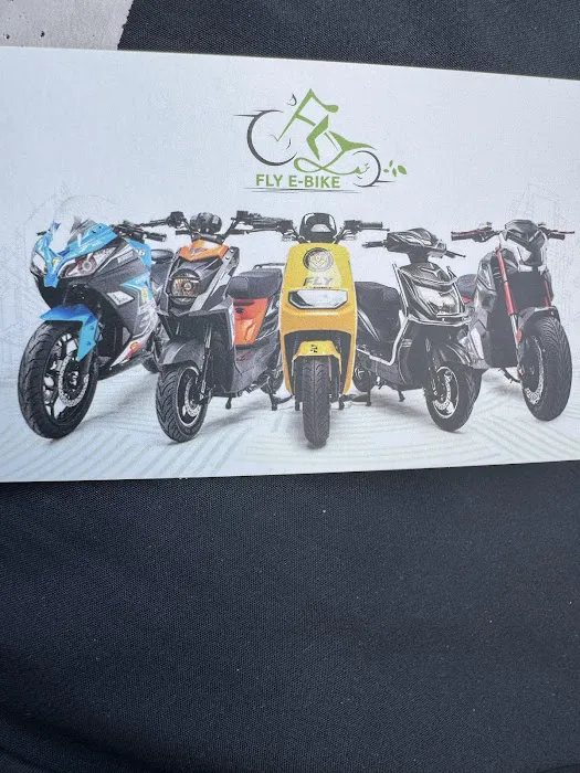 Fly E-Bike DC Picture 9