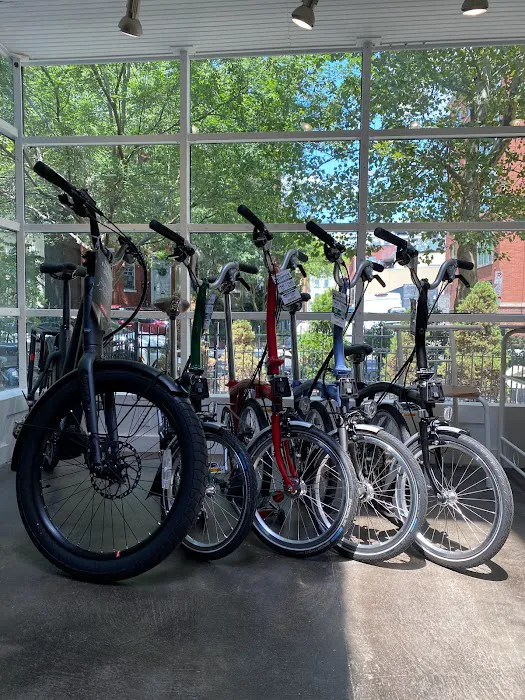 Conte's Bike Shop Picture 9