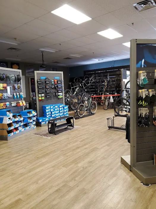 Maverick Bikes Picture 2