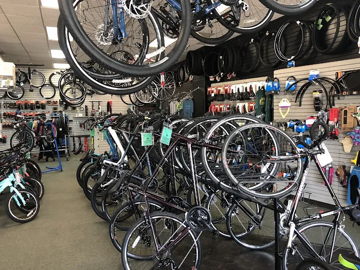 AL's Bike Shop Picture 8