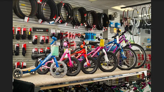 AL's Bike Shop Picture 6