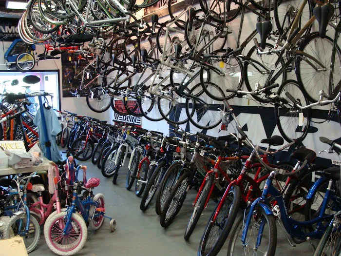 The Bike Shop Picture 5