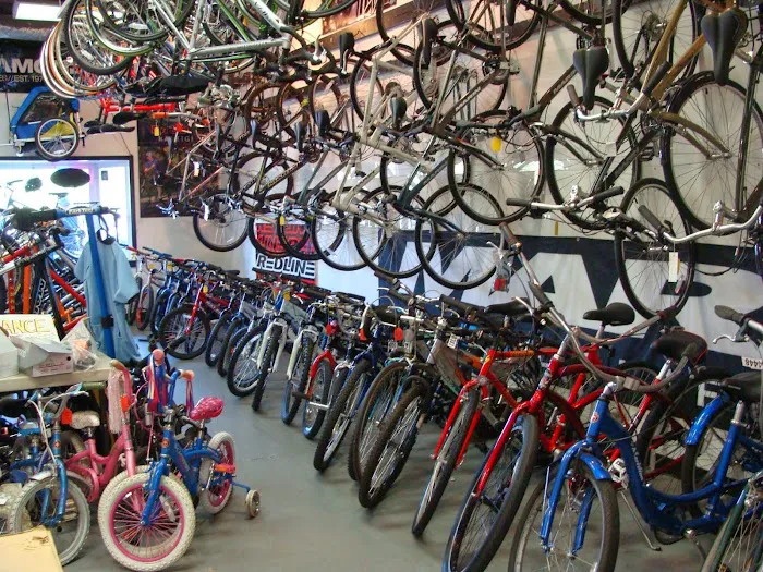 The Bike Shop Picture 3
