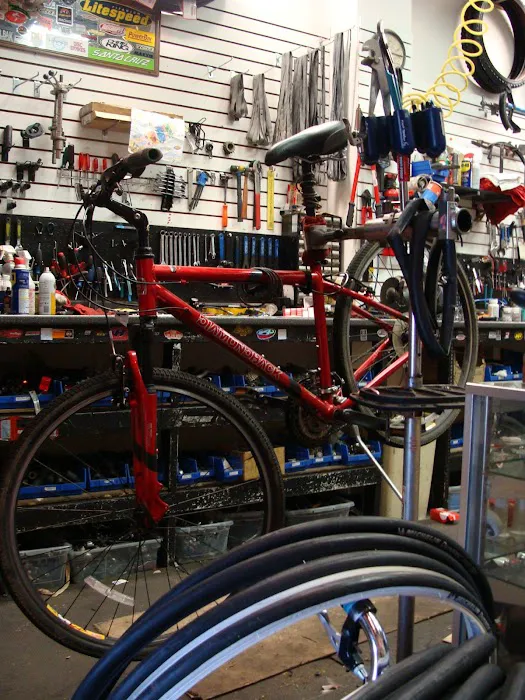 The Bike Shop Picture 10