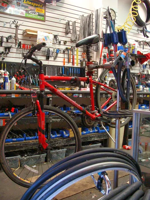 The Bike Shop Picture 9