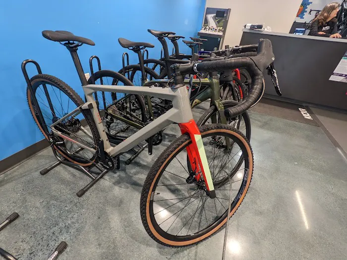 Conte's Bike Shop Picture 1