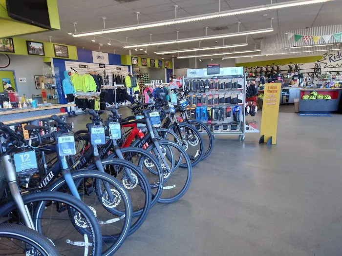 Trek Bicycle Fairfax Picture 8