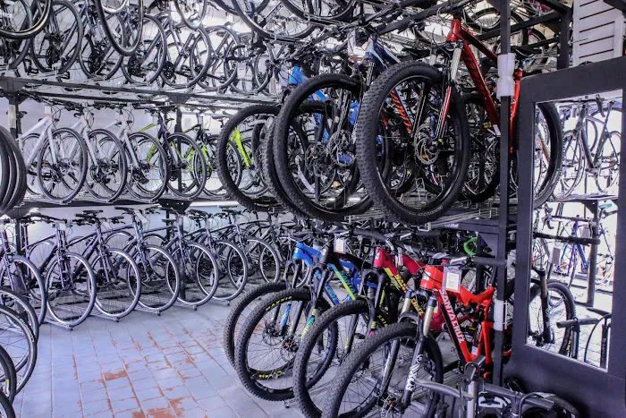 Bicycle Pro Shop Picture 10