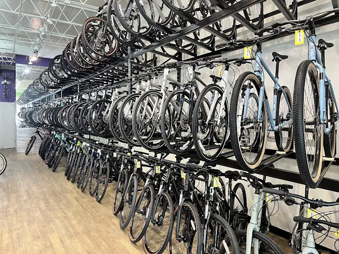 Big Wheel Bikes Picture 9