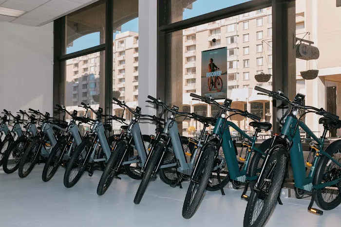 King Electric Bikes Picture 7