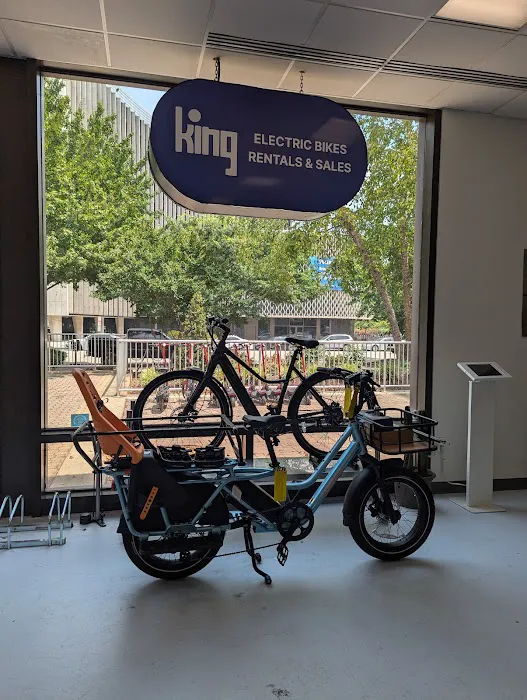 King Electric Bikes Picture 5